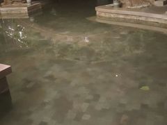 -裕龙汤泉