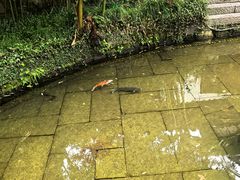 -解香楼(八盘岭路店)