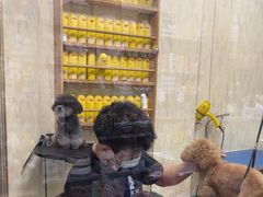 -喜洋洋宠物医院(震川路总店)