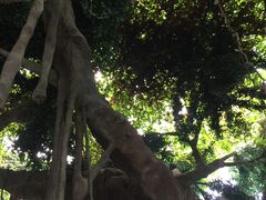 -龙达温泉生态城