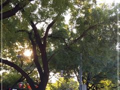 -VOYAGE COFFEE(北锣鼓巷店)