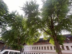 -国家图书馆·古籍馆