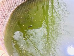-顺鑫绿色度假村
