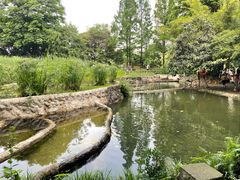 -成都市活水公园