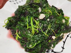 清炒苋菜-喜乐堂(新华西路店)