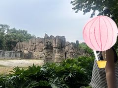 -成都动物园