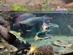 -太平洋海底世界