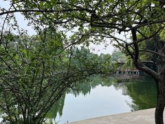 -棠湖公园