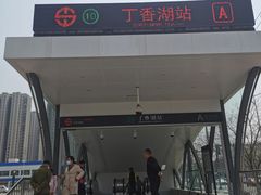 -丁香湖公园