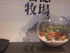 -瑞穗牧场