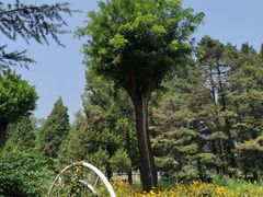 -国家植物园南园