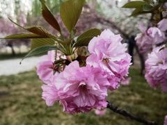 -莲花池公园