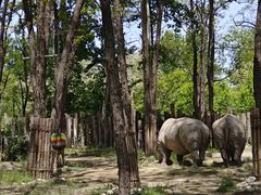 -北京野生动物园