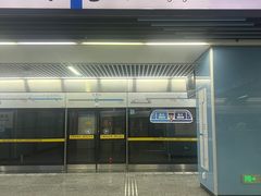 -大龙山(地铁站)