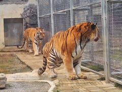 -黔灵山公园-南门售票处