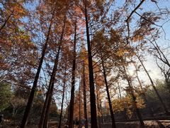 -白水寺森林公园