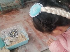 -宁波九龙湖开元度假村