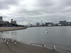-台场海滨公园船码头