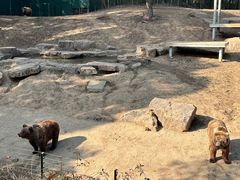 -扬州市茱萸湾风景区