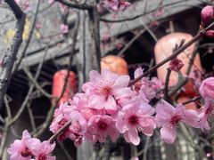 -回龙窝历史文化街区
