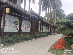 -金花茶公园