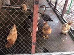 -鱼窝棚柴火铁锅炖(富山屯店)