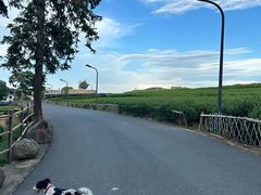 -听风阁农家私房菜茶楼(龙坞店)