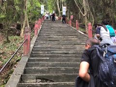 -窦圌山风景区