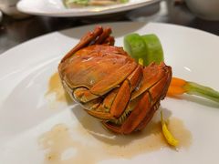 陈年花雕醉大闸蟹-甄御•海鲜新青岛菜(麦岛店)