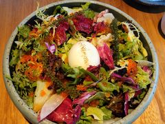 -Hatsune隐泉日式料理(三里屯太古里店)