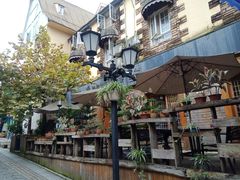 -四川省成都市彭州市白鹿镇