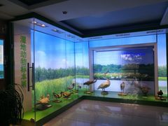 -大湾区中央湿地公园