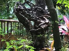 -呀路古热带植物园-恐龙馆