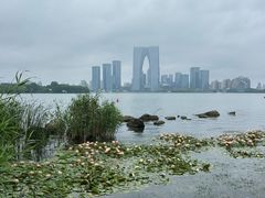 -金鸡湖景区