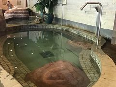 -天目湖涵田半山温泉