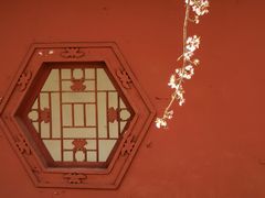 -桃花堤公园