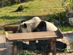 -无锡动物园·太湖欢乐园
