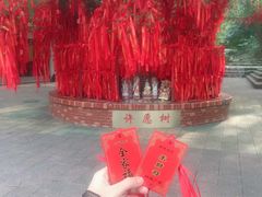 -三水森林公园