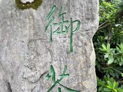 -十八棵（老龙井）御茶园(老龙井店)