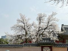 -景福宫