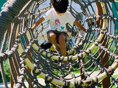 -金宝幼儿园(通州校区)