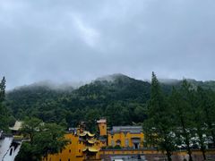 -九华山聚龙大酒店