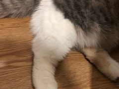 -藦茜花园宠物主题亲子互动体验馆(国顺东路店)