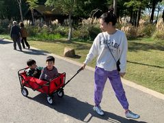 -上海长兴岛郊野公园