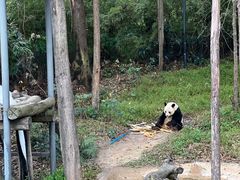 -广州长隆野生动物世界