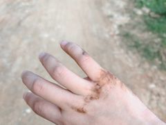 -长虫山生态公园风景林