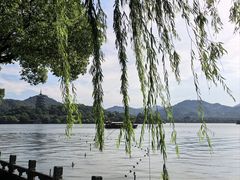 -杭州西湖柳莺里酒店