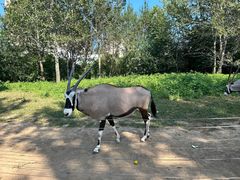 -大连森林动物园