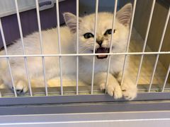 -泉乐坊步行街(烟酒特产平价超市店)