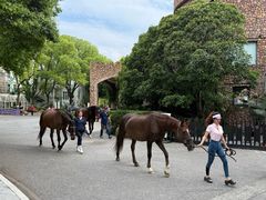 -J Create城市露营咖啡·简餐·宠物(上海动物园店)